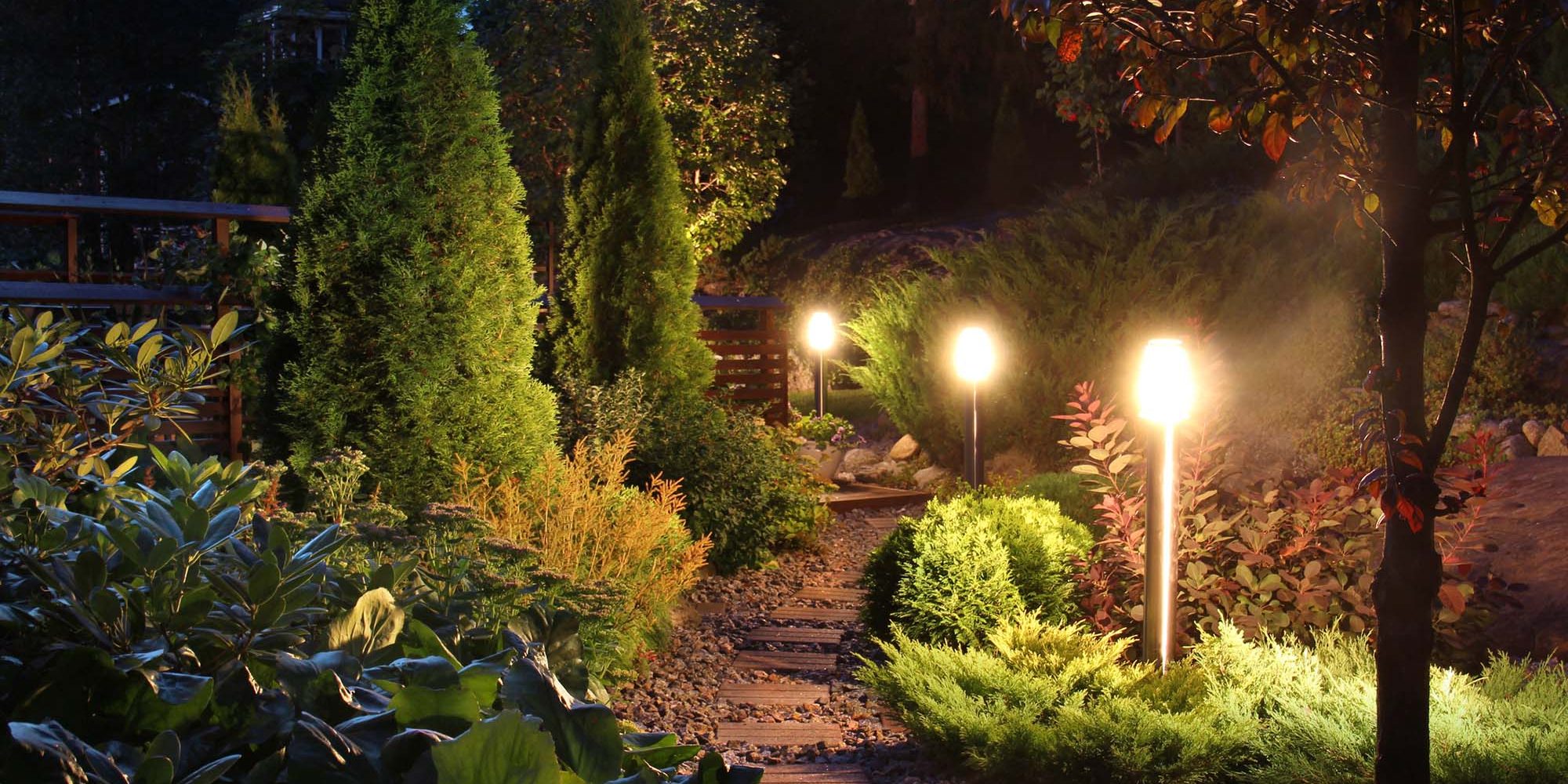 Illuminated home garden path patio lights and plants in evening dusk